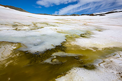 Algae_in_melting_glacial_ice,-400.jpg