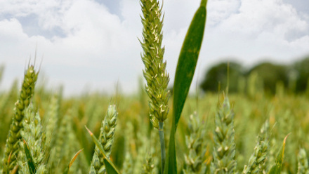 Sacharow J blog Thumbnail.jpg