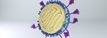 3D illustration of a virus particle with spike proteins.