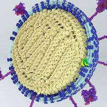 3D illustration of a virus particle with spike proteins