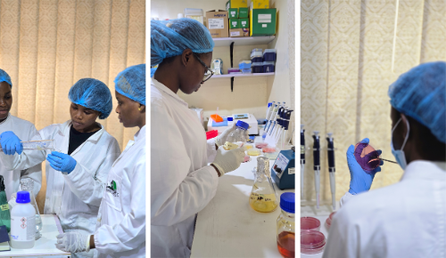 Girls in Biotech participants working in the lab