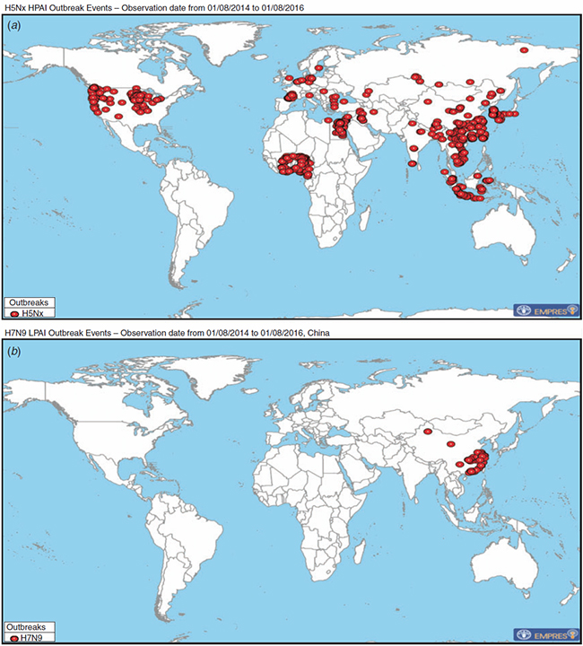 MT Nov 16 ASM avian influenza-fig-2