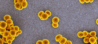 Pathogens-thumbnail.jpg