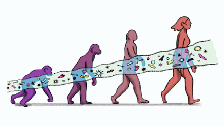 Brain gut news thumb.png