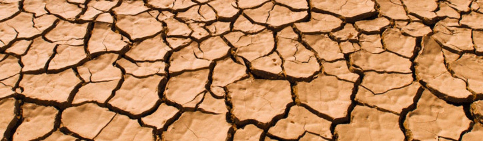 Dry clay earth background