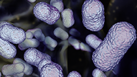 Negative results collection 220x220.png