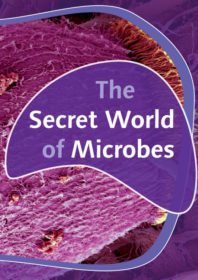 the secret world of microbes - web