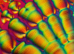 MT Nov 2013 Glucose molecule