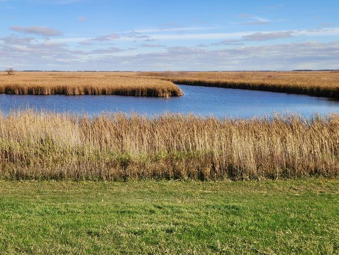 iStock-2244066715 (2).jpg