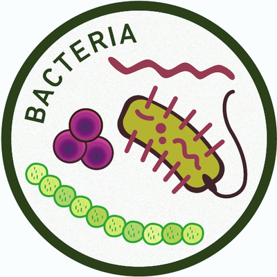Approved WhatisMicrobiology-Icons-Bacteria.png