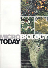 MT August 2001 cover web