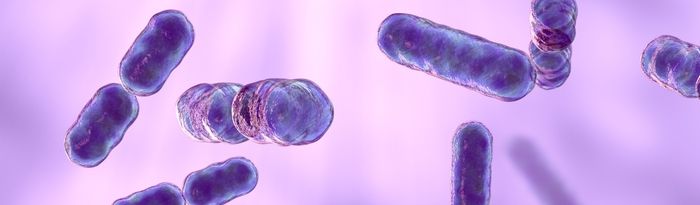 Anaerobe 2023 banner .jpg