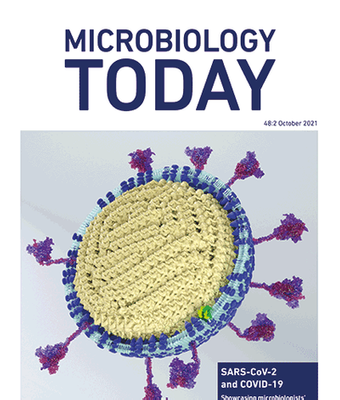 UST Microbiology Society - November's microbe of the month