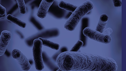 Close-up of a virus. Image for the Journal of General Virology.