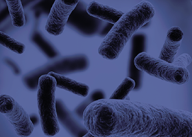 Close-up of a virus. Image for the Journal of General Virology.