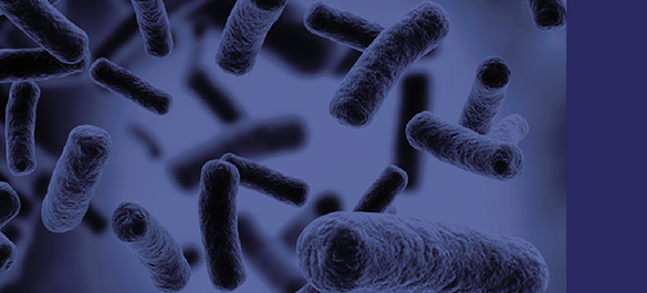 Close-up of a virus. Image for the Journal of General Virology.