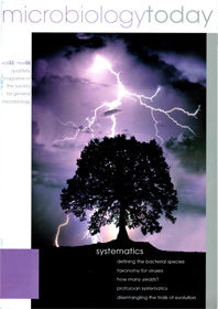 MT November 2006 cover web