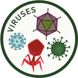 Approved WhatisMicrobiology-Icons-Viruses.png