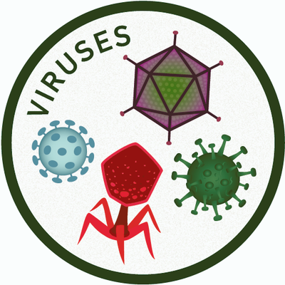 Approved WhatisMicrobiology-Icons-Viruses.png