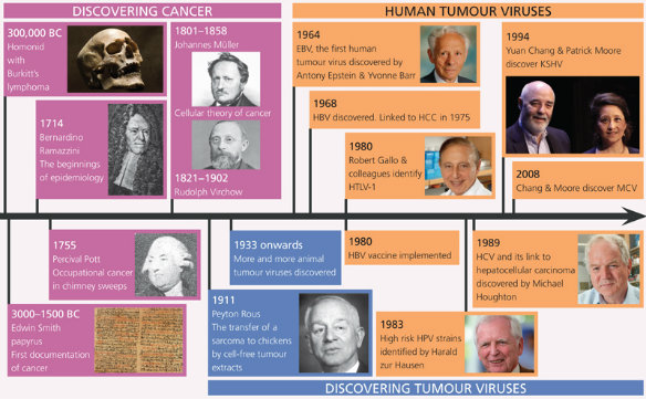MT Feb 2013 5 Hindle Timeline