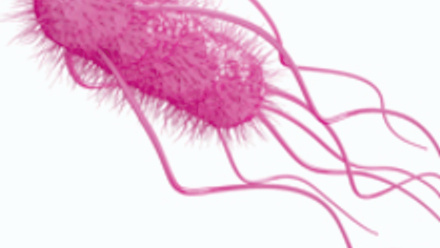 MT Aug 2016 schoolzone