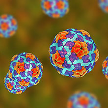 Multi-coloured viruses