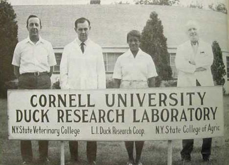 Cornell University Duck research lab_BHM.jpg