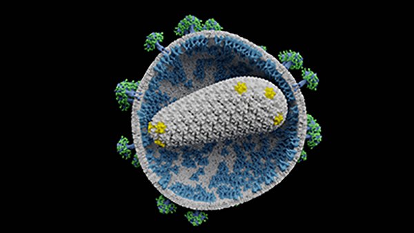 Computer illustration of a HIV (human immunodeficiency virus) particle.