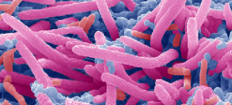 tongue-bacteria.jpg