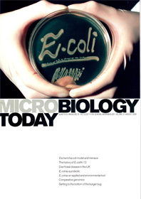 MT August 2004 cover web