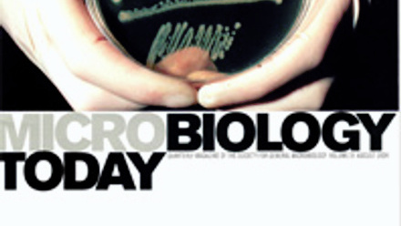 Cover of Microbiology Today, issue of August 2004