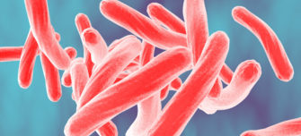 mycobacterium-tuberculosis-collection.jpg