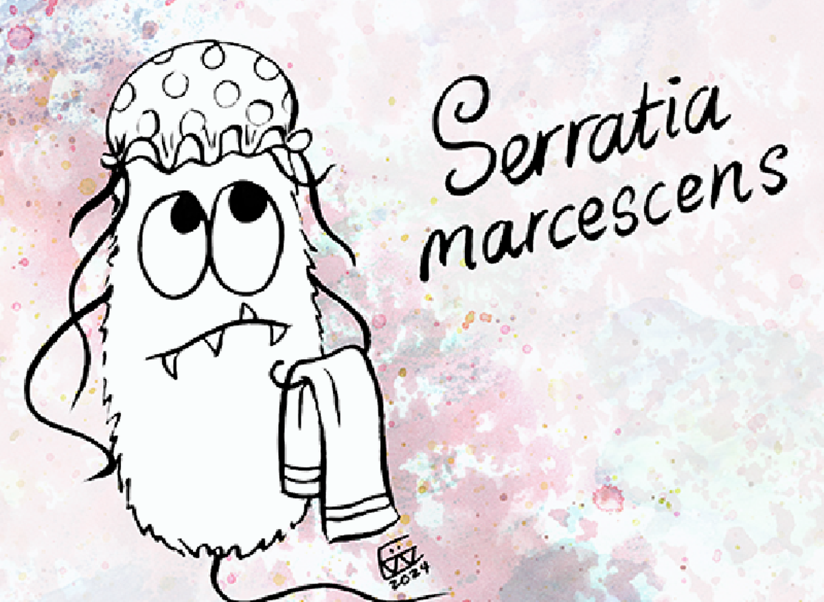 Serratia marcescens.png