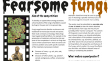 MT Feb 2016 schoolzone