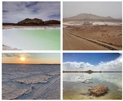 Fig. 2. Examples of terrestrial analogue sites. Top left, Qaidam, China; top right, Pedra de Lume, Cape Verde; bottom left, Lake Tirez, Spain; bottom right, Qaidam, China.