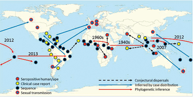 MT Nov 16 comment zika map