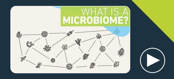 what-is-a-microbiome.jpg