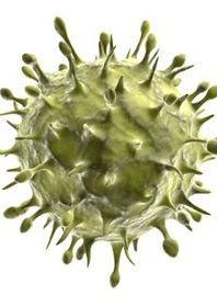Green virus