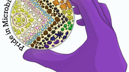 PiM-Network-logo---300x300.jpg 1