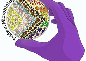 PiM-Network-logo---300x300.jpg 1