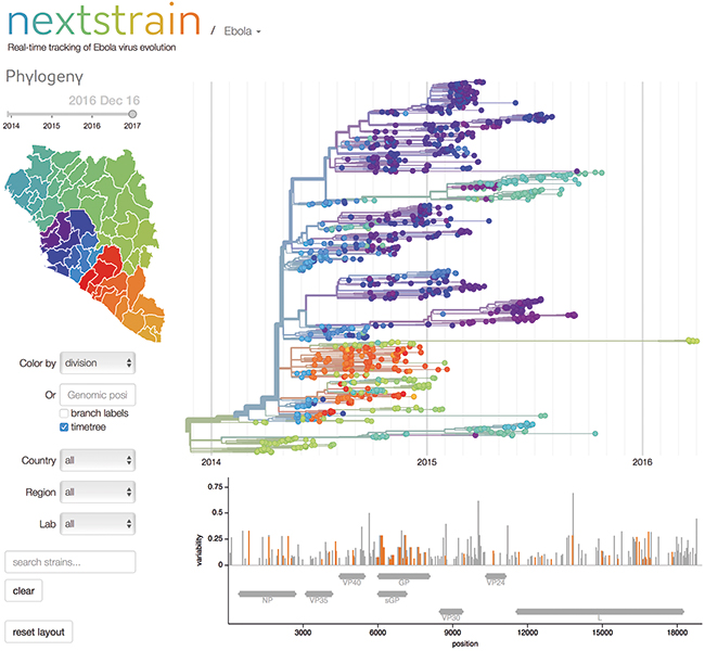 MT Feb 17 Ebola virus trials nextstrain