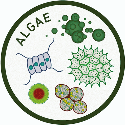 WhatisMicrobiology-Icons-Algae-HR.png