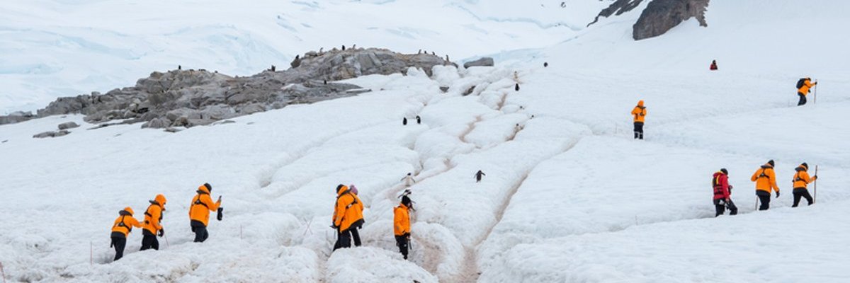 iStock-2039967764 (2).jpg 1