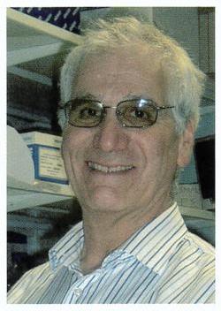 Headshot of Robin Weiss