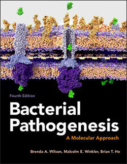 Bacterial Pathogenesis: A Molecular Approach cover
