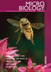 Cover of Microbiology Today, issue of November 2011