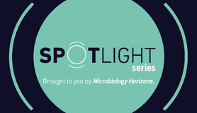 Spotlight Thumbnail_Oct.png