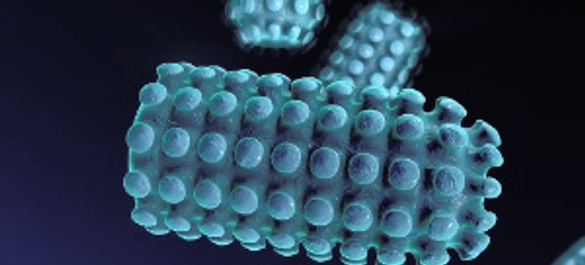 rabies-virus-illustration-picture-id623282770.jpg 1