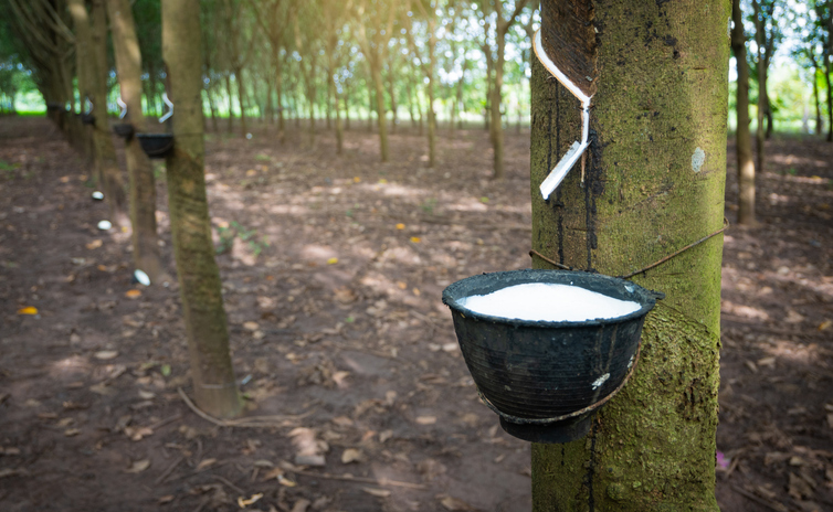 iStock-1742639956 (1).jpg