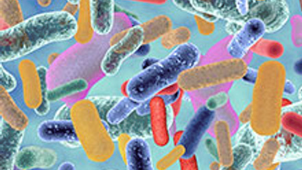 Microbial Cycling-220x220.jpg